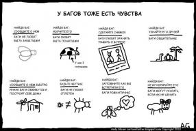 Що таке Баг