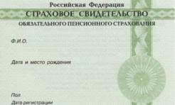Що таке СНІЛС