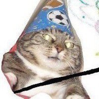 Кот Вжух