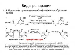 репарації