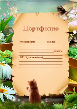 Що таке portfolio