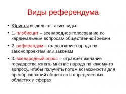 плебісцит