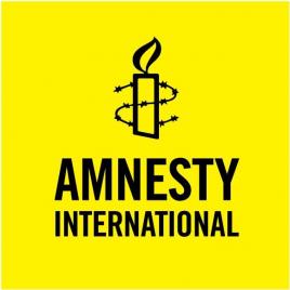Що таке amnesty