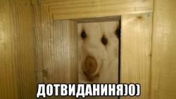 Дратуті