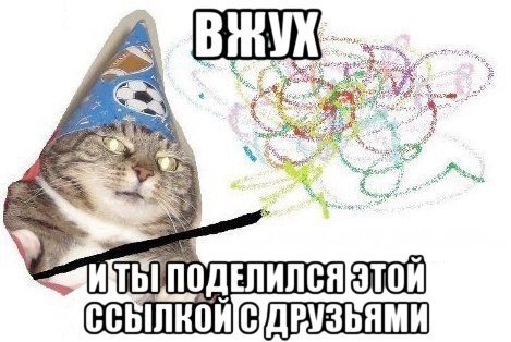 Кот вжух